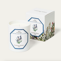 Iris Candle